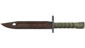 Rust Coat image
