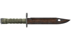 Rust Coat image