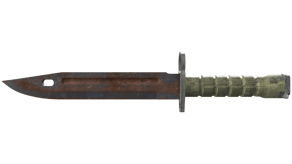 Rust Coat image