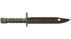 Rust Coat image