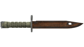Rust Coat image