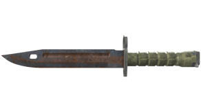 Rust Coat image