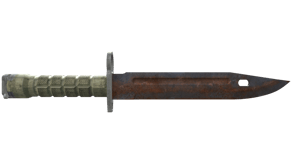 Rust Coat image