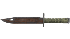 Rust Coat image