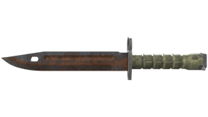 Rust Coat image