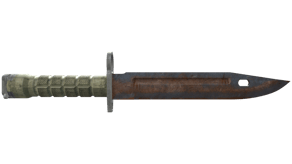 Rust Coat image