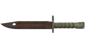 Rust Coat image