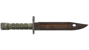 Rust Coat image