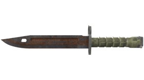 Rust Coat image