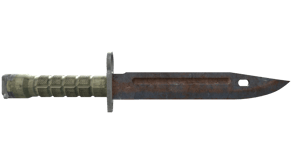 Rust Coat image