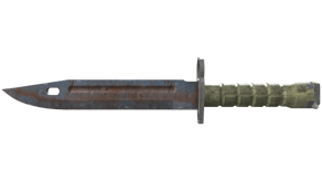 Rust Coat image