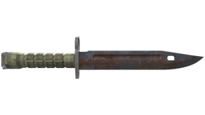 Rust Coat image