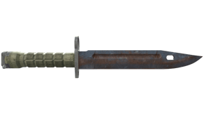 Rust Coat image