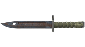 Rust Coat image