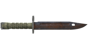 Rust Coat image