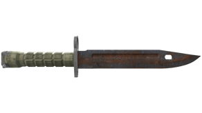 Rust Coat image