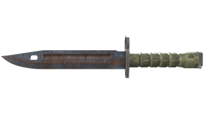 Rust Coat image