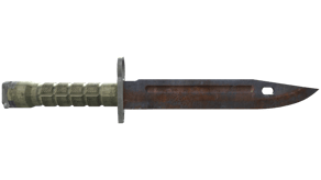 Rust Coat image