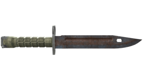 Rust Coat image