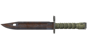 Rust Coat image