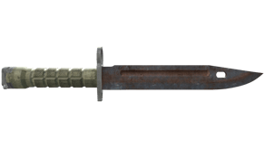 Rust Coat image