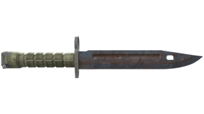 Rust Coat image