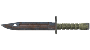 Rust Coat image