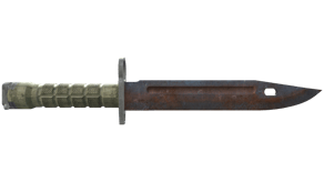 Rust Coat image
