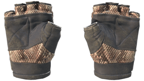 Snakebite image