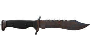 Rust Coat image