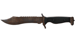 Rust Coat image