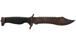 Rust Coat image