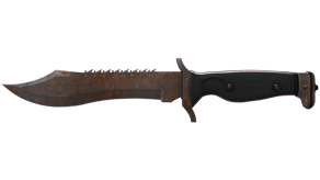Rust Coat image