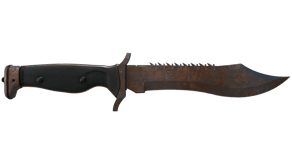 Rust Coat image