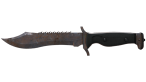 Rust Coat image