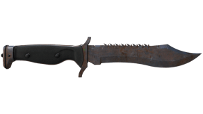 Rust Coat image