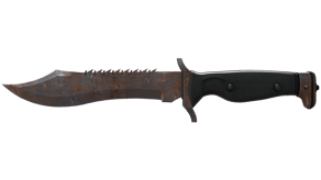 Rust Coat image