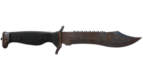 Rust Coat image