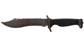 Rust Coat image