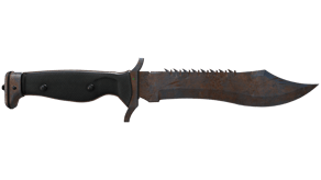 Rust Coat image