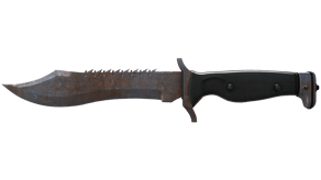 Rust Coat image