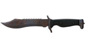 Rust Coat image