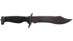 Rust Coat image
