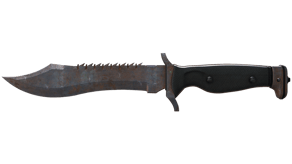 Rust Coat image
