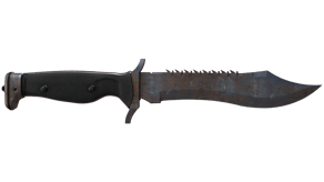 Rust Coat image