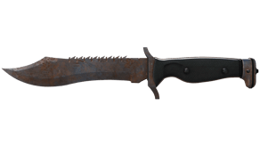 Rust Coat image