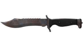 Rust Coat image