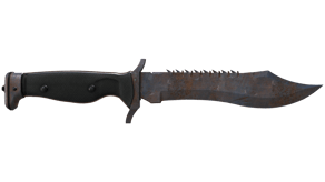 Rust Coat image