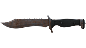 Rust Coat image