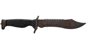 Rust Coat image